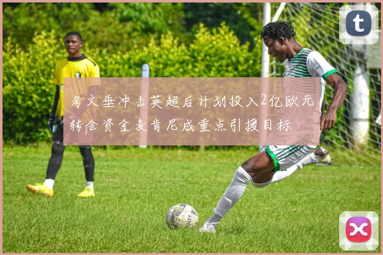 考文垂冲击英超后计划投入2亿欧元转会资金麦肯尼成重点引援目标