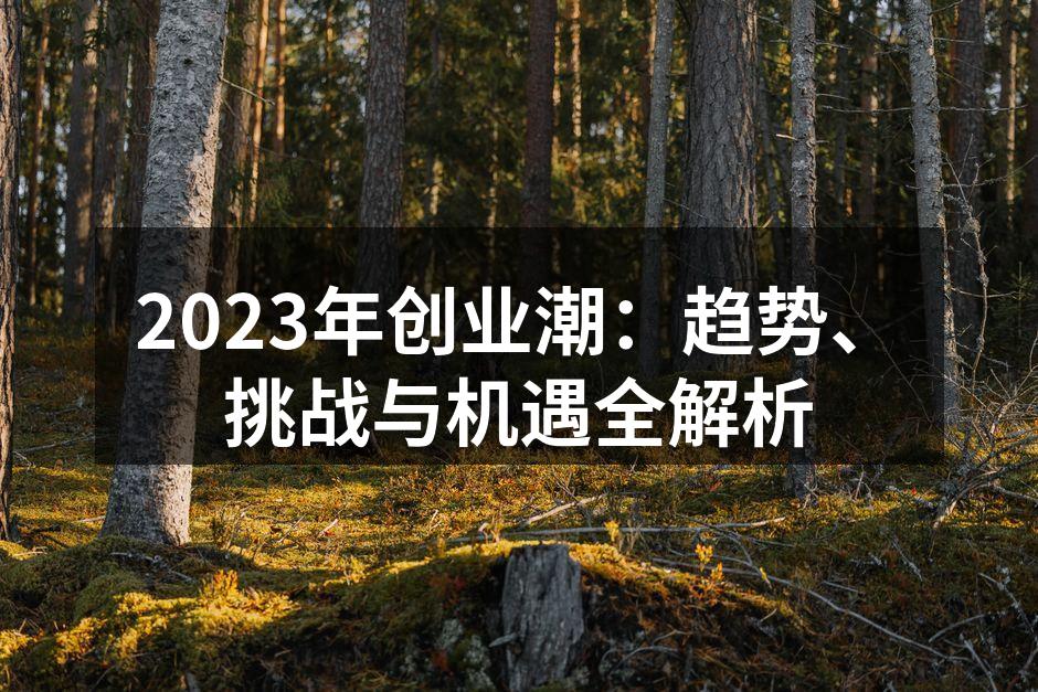 2023年创业潮：趋势、挑战与机遇全解析