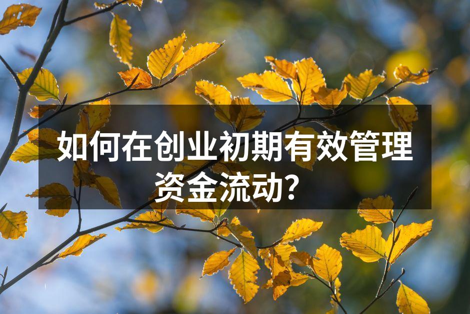 如何在创业初期有效管理资金流动？