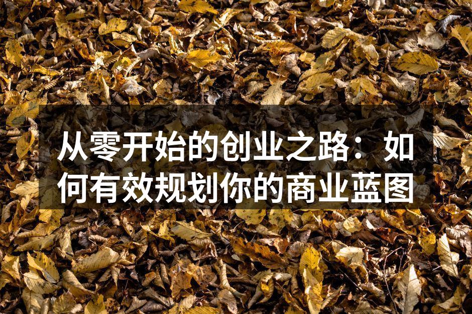 从零开始的创业之路：如何有效规划你的商业蓝图