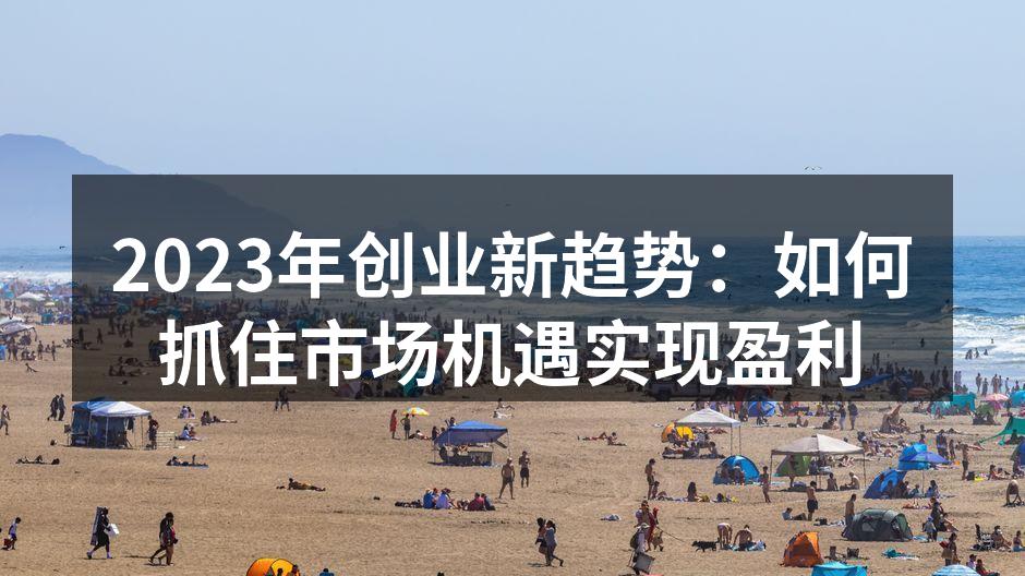 2023年创业新趋势：如何抓住市场机遇实现盈利